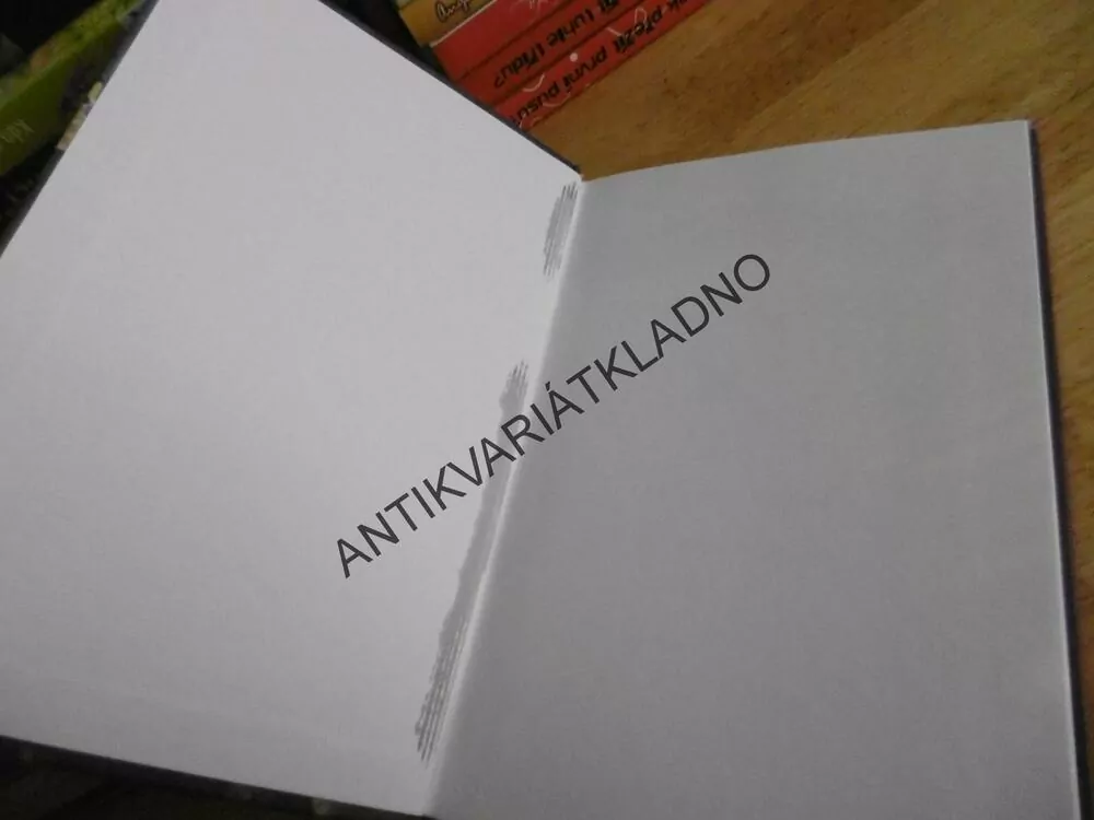 DRAKOBIJECKÁ AKADEMIE, PRVNĚ DO ŠKOLY, KATE MCMULLAN, **an