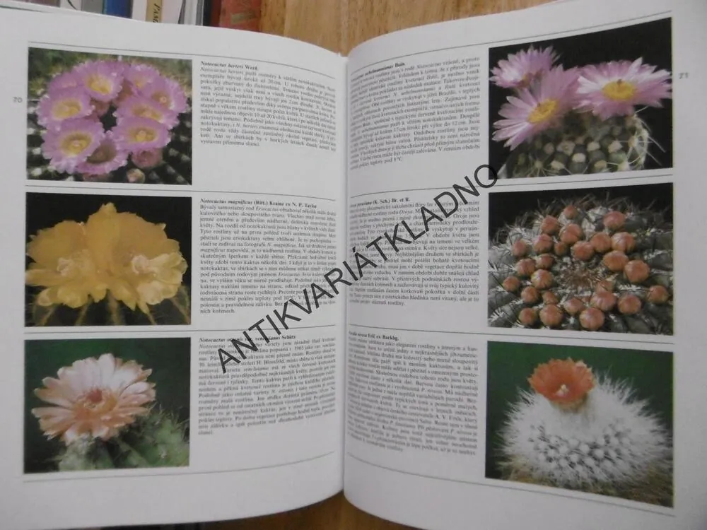 VŠECHNO O KAKTUSECH, KAKTUSY, ALEXANDER LUX, ROMAN STANÍK, **an