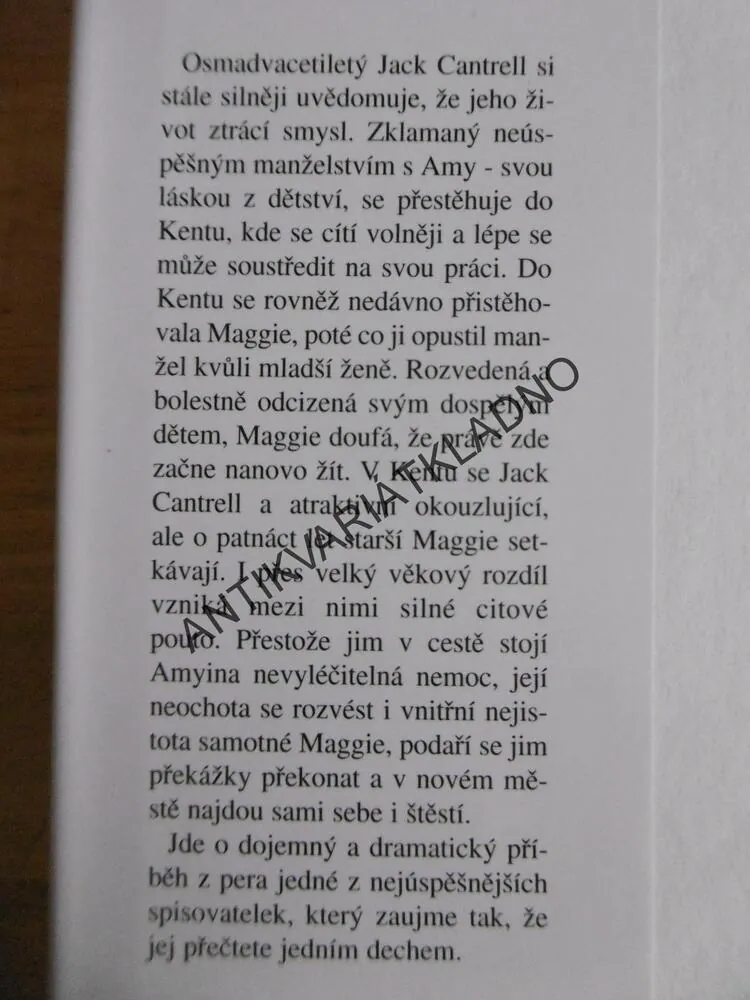 LÁSKA V JINÉM MĚSTĚ, BARBARA TAYLOR BRADFORDOVÁ, **an