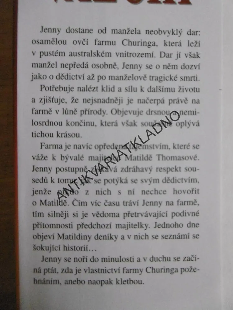 POSLEDNÍ VALČÍK, TAMARA MCKINLEY, **an