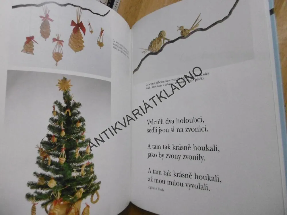 NÁPADY PRO PODZIM A ZIMU, KOCIÁNOVÁ, TICHÝ, BENEDIKTOVÁ, KOCIÁN, **an