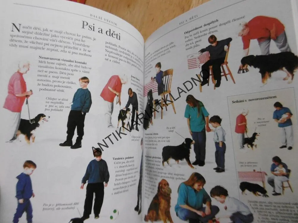 VÝCVIK PSA DO KAPSY, DR. BRUCE FOGLE, **an