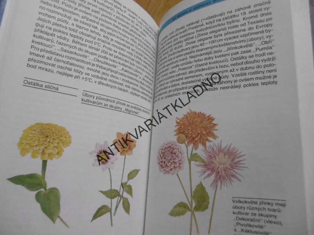 Z LUK A MEZÍ DO ZAHRADY, V. VĚTVIČKA - AUTOGRAM, M. TULÁČKOVÁ, **an