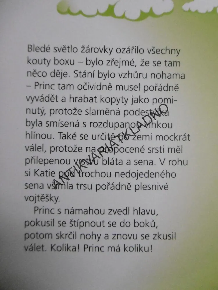 PRINC OD TOPOLŮ, CHRIS PLATT, **an