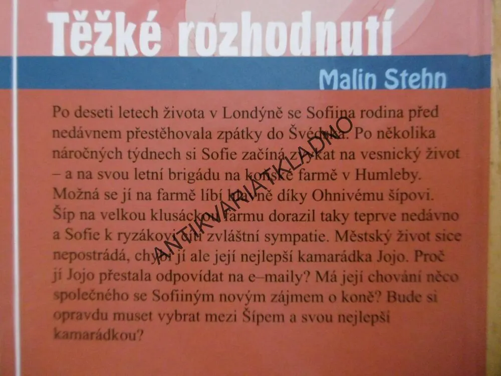 TĚŽKÉ ROZHODNUTÍ, MALIN STEHN, **an
