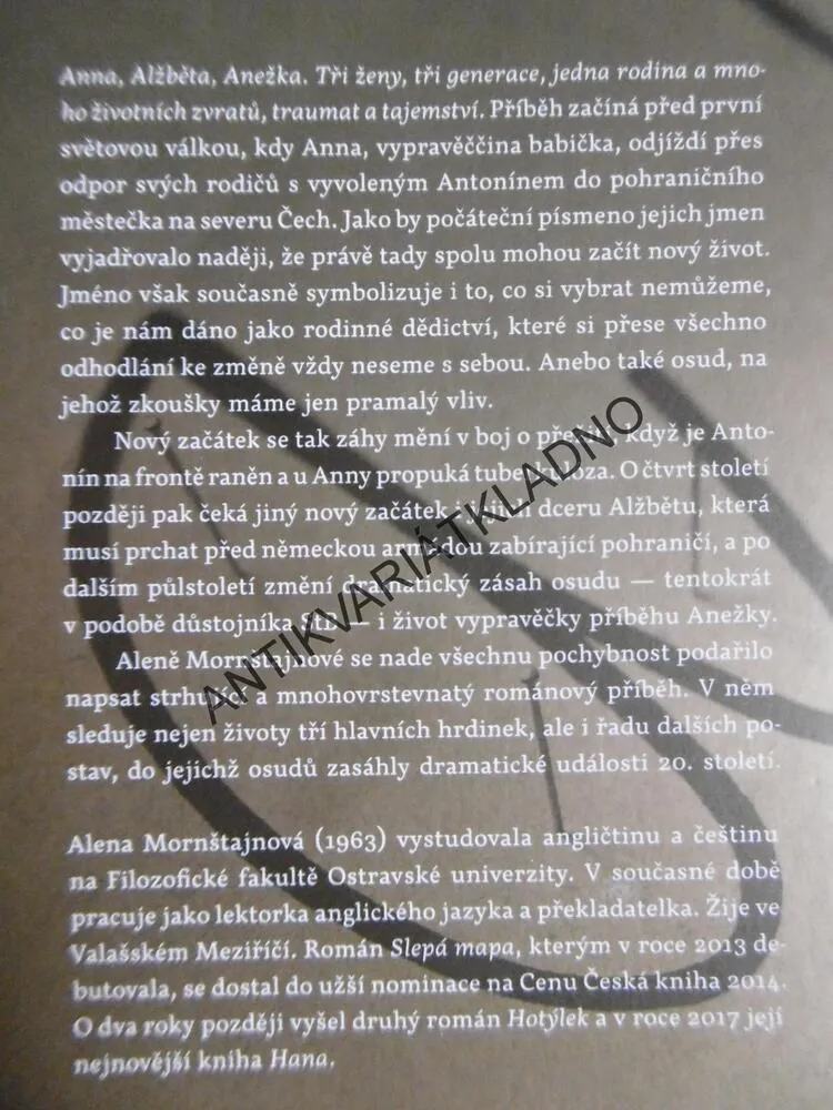 SLEPÁ MAPA, ALENA MORNŠTAJNOVÁ, **an