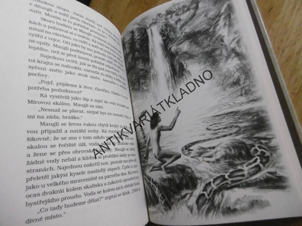 MAUGLÍ, RUDYARD KIPLING, PETR MINKA, **an
