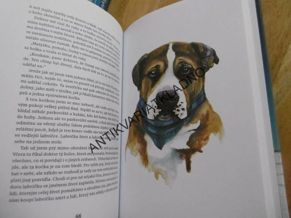GUMP, PES, KTERÝ NAUČIL LIDI ŽÍT, FILIP ROŽEK, WERONIKA GRAY, **an