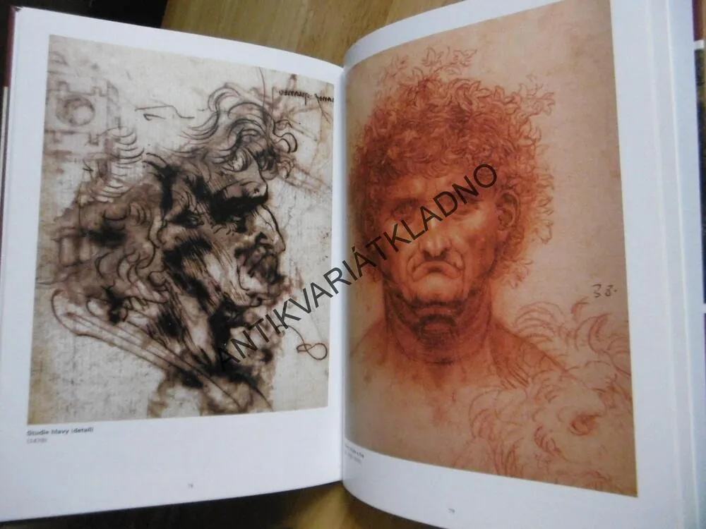 ŽIVOT A DÍLO MISTRA LEONARDA, ALFRED LUKASEY, **an
