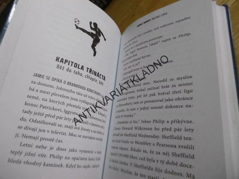 JAMIE VARDY, MLSNÁ LIŠKA, T. J. MILLNER, **an