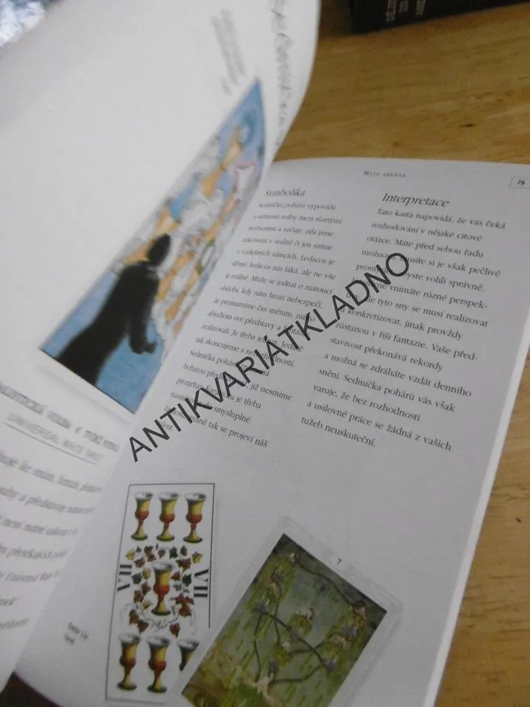 TAROT, ANNIE LIONNET, **an