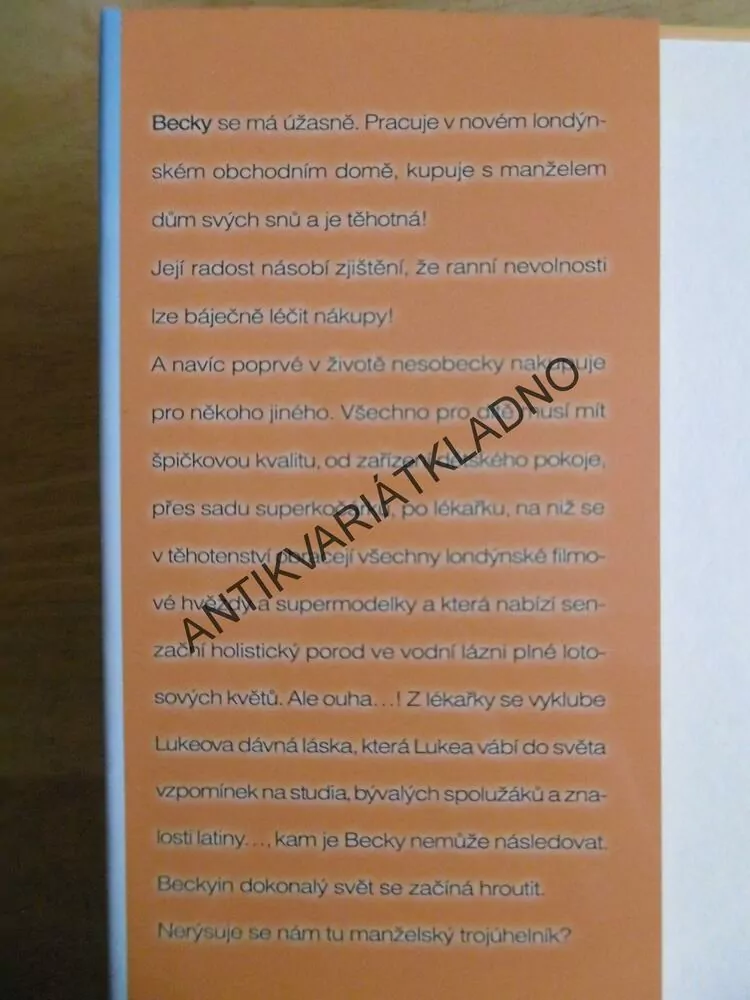 BÁJEČNÉ NAKUPOVÁNÍ DO KOČÁRKU, SOPHIE KINSELLA, **an