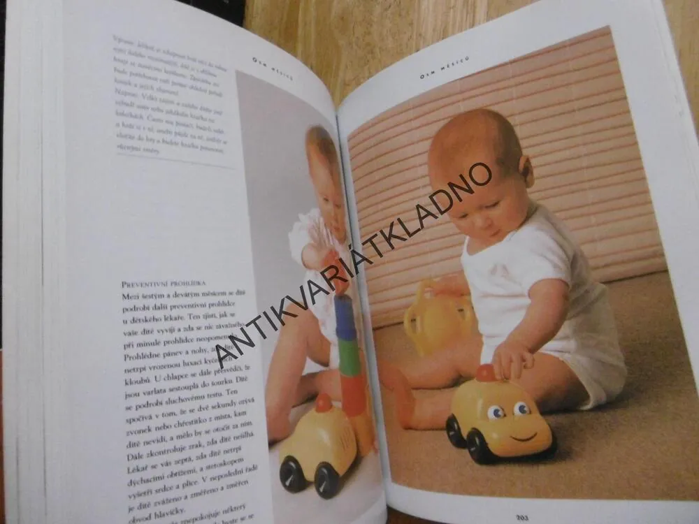 TĚHOTENSTVÍ A PÉČE O DÍTĚ, PRAKTICKÁ PŘÍRUČKA, ALISON MACKONOCHIEOVÁ, **an