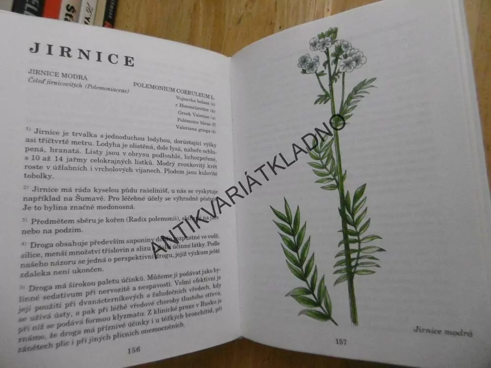 HERBÁŘ LÉČIVÝCH ROSTLIN 2., JIŘÍ JANČA, **an