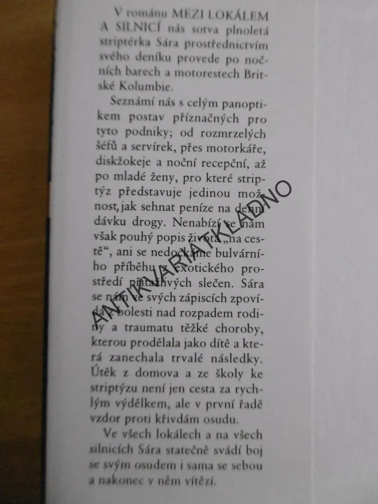 MEZI LOKÁLEM A SILNICÍ, DIANA ATKINSONOVÁ, **an