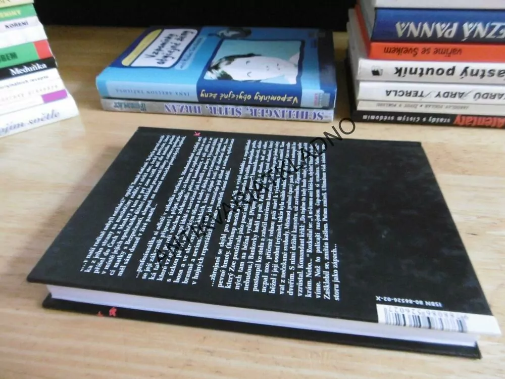 JEZDCI NOCI, JAROSLAV VEJVODA, **an