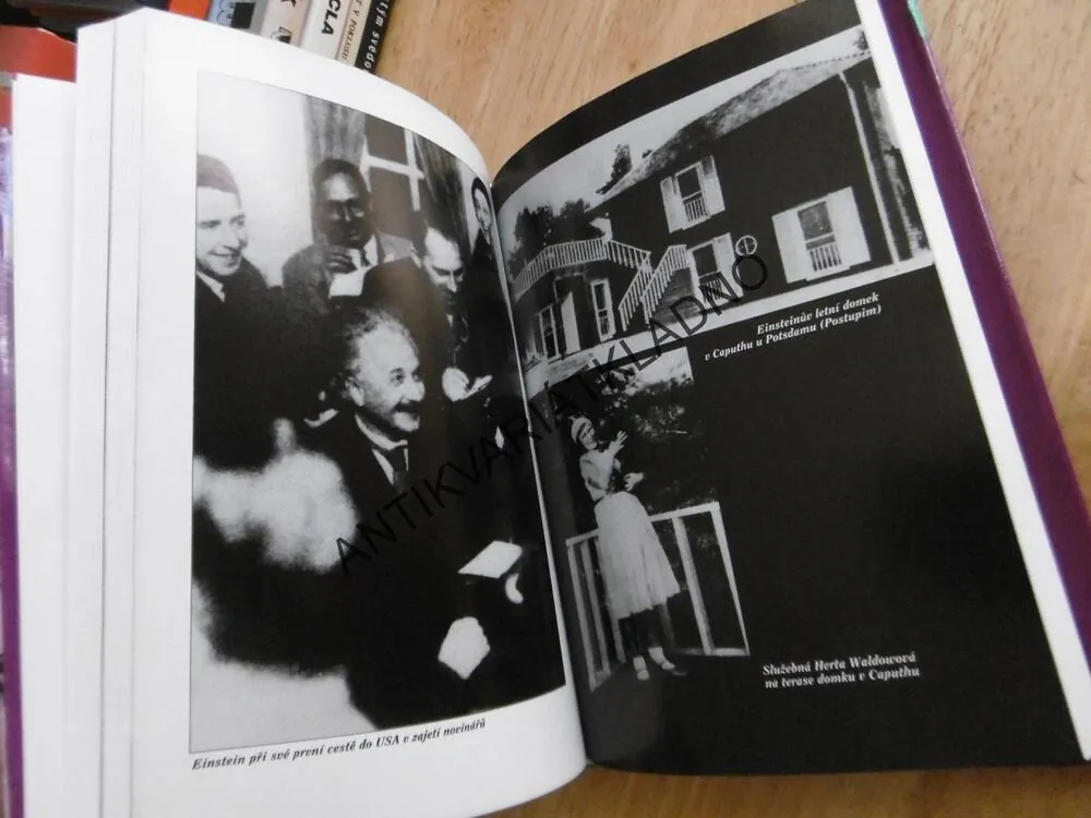 SOUKROMÝ ŽIVOT ALBERTA EINSTEINA, ROGER HIGHFIELD, **an