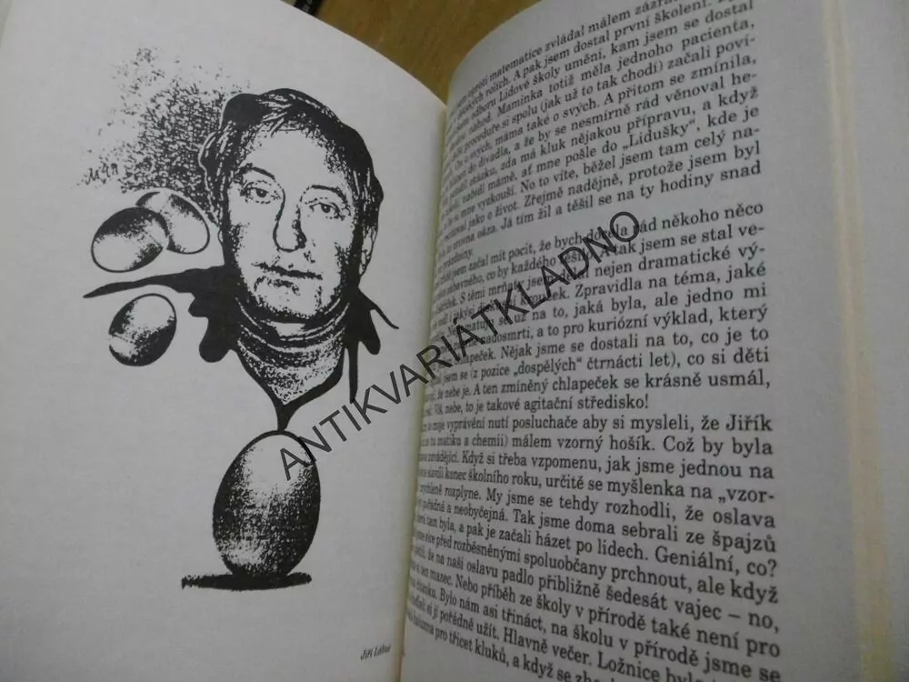 HŘÍCHY MLÁDÍ ANEB TAKOVÍ JSME BYLI, JIŘINA DOLEŽALOVÁ, **an