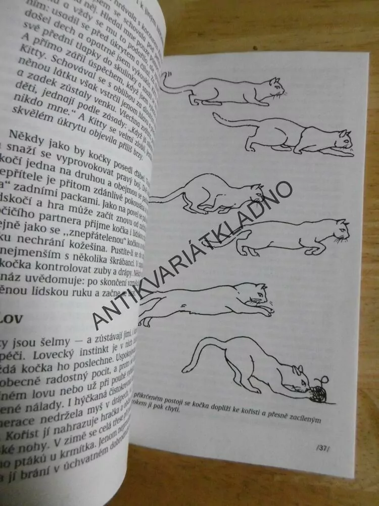 CO MI CHCE MÁ KOČKA ŘÍCI?, HELEN ANN AUGSTOVÁ, **an