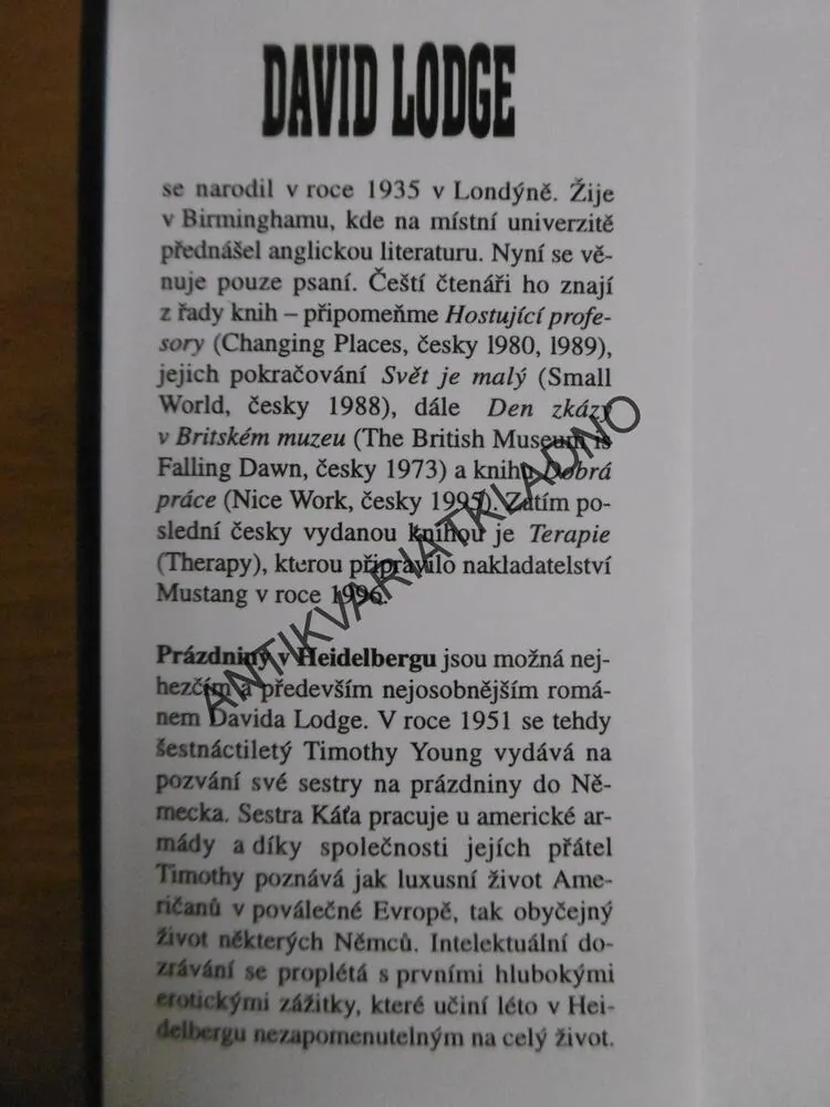 PRÁZDNINY V HEIDELBERGU, DAVID LODGE, **an