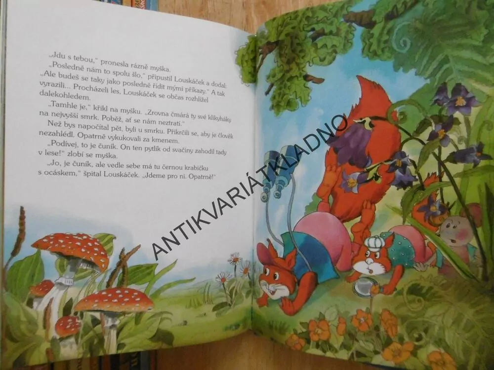DETEKTIV LOUSKÁČEK LOUSKÁ LESNÍ ZÁHADY, CHRISTINE RETTL, ALEKSANDRA A ALEKSANDER, **an