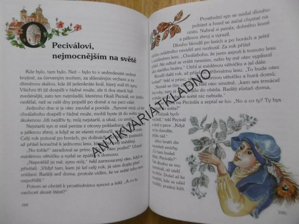 DLOUHÝ, ŠIROKÝ A BYSTROZRAKÝ, IRENA ŠMALCOVÁ, **an