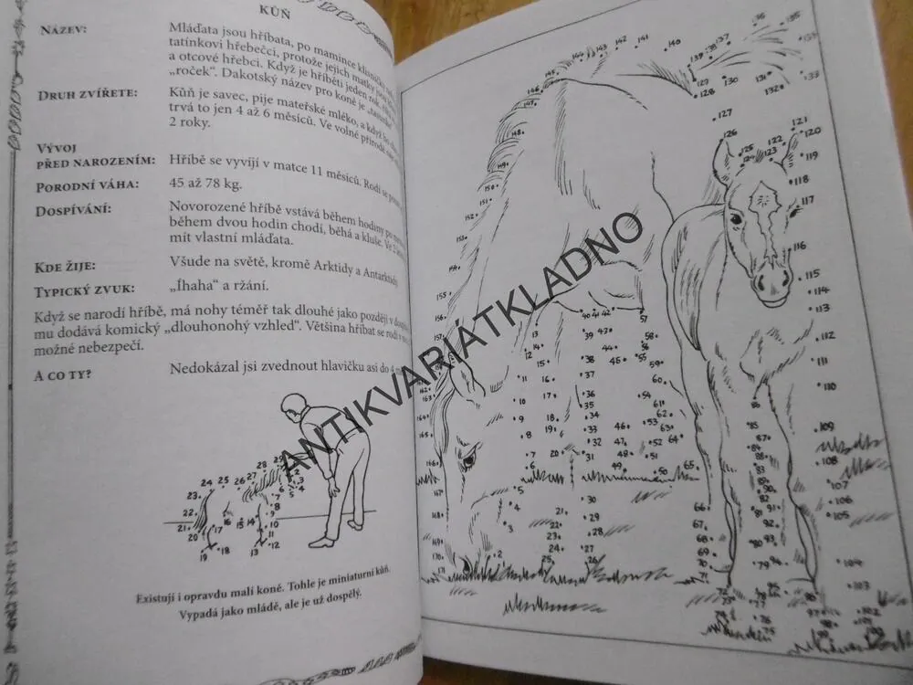 SKOTAČIVÁ MLÁĎATA, SPOJ, POZNEJ A VYBARVI SI, **an