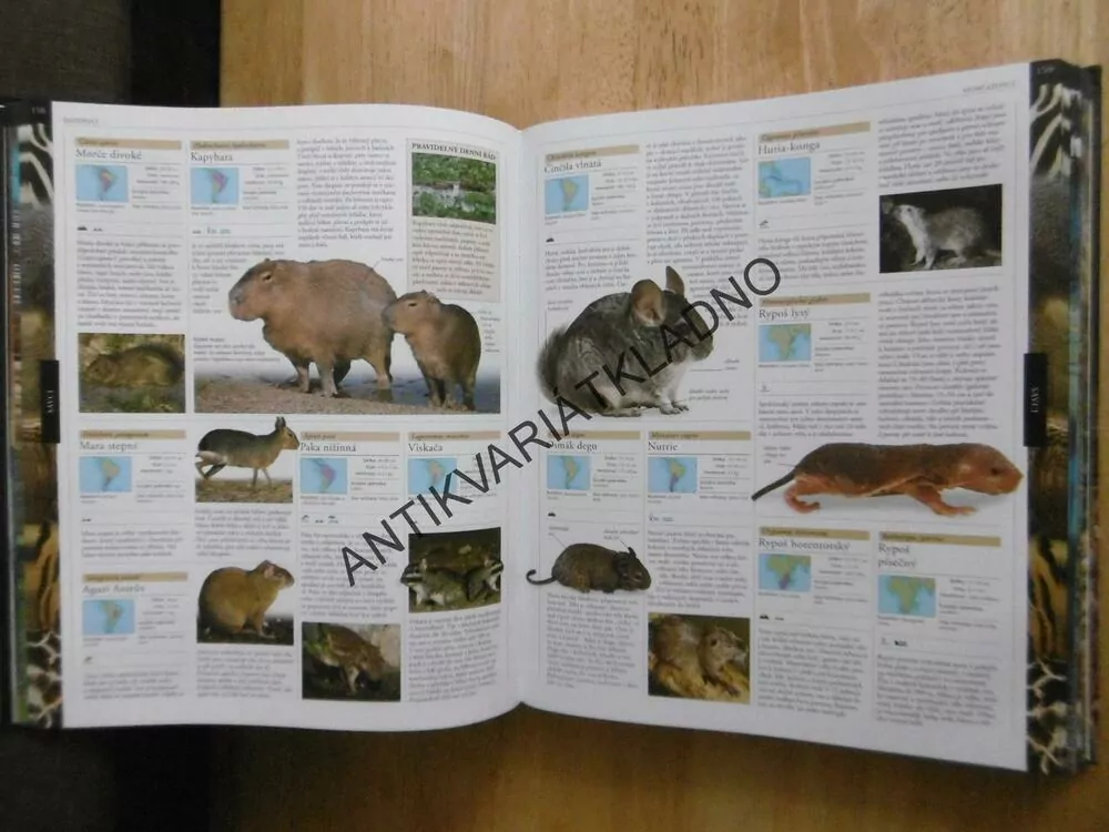 ZVÍŘE, OBRAZOVÁ ENCYKLOPEDIE ŽIVOČICHŮ VŠECH KONTINENTŮ, ZVÍŘATA, nové ve folii, **an