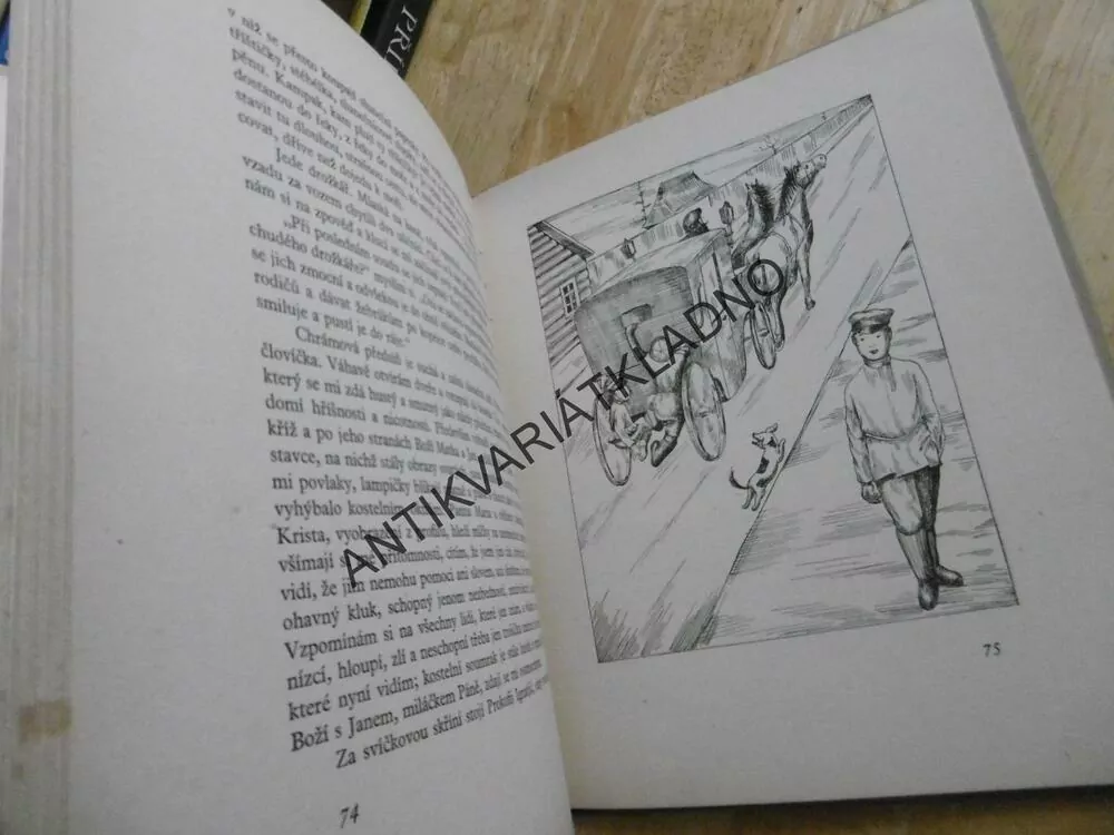 GRIŠA A OSTATNÍ, A.P.ČECHOV, **an