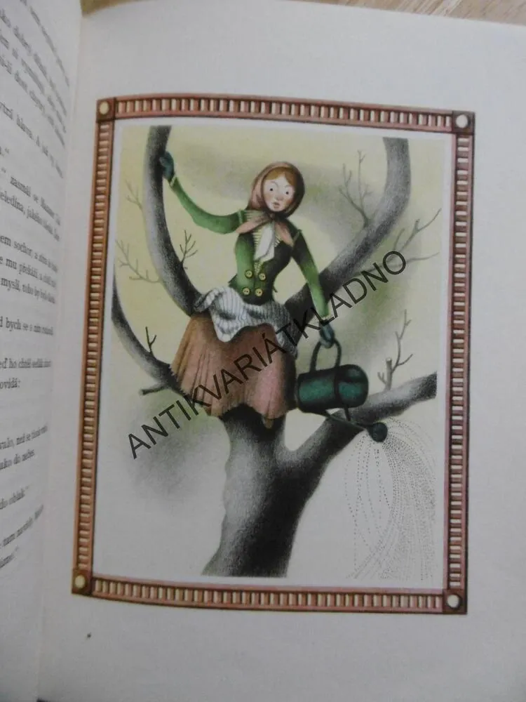 ZÁHON ROZMARÝNKY, JOSEF ŠTEFAN KUBÍN, **an