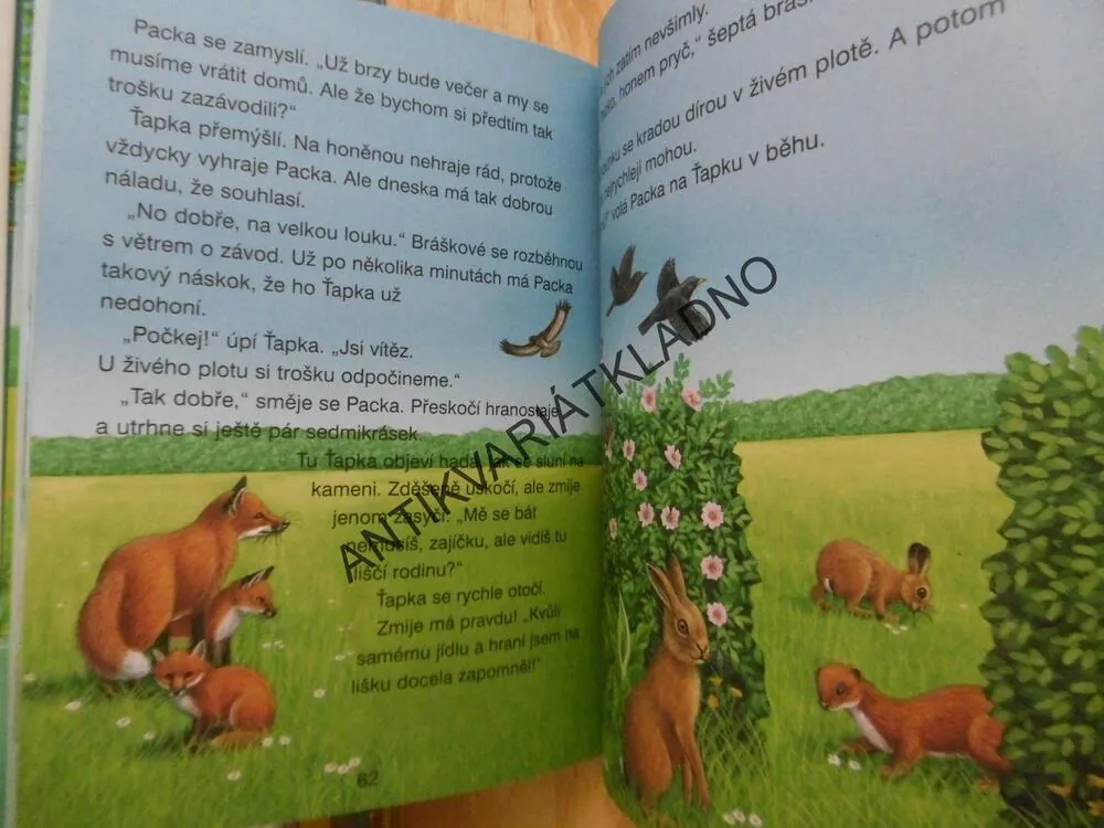 PRVNÍ ČTENÍ O ZVÍŘÁTKÁCH S VELKÝMI PÍSMENY, **an