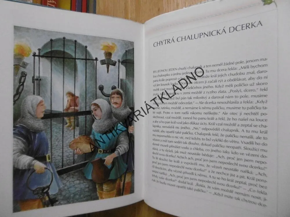 POHÁDKY BRATŘÍ GRIMMŮ 2, **an