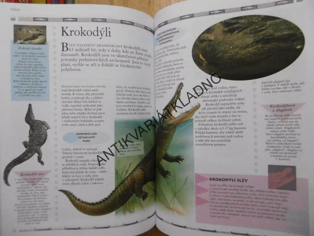 ILUSTROVANÁ ENCYKLOPEDIE, ZVÍŘATA V PŘÍRODĚ A MÝTECH, **an