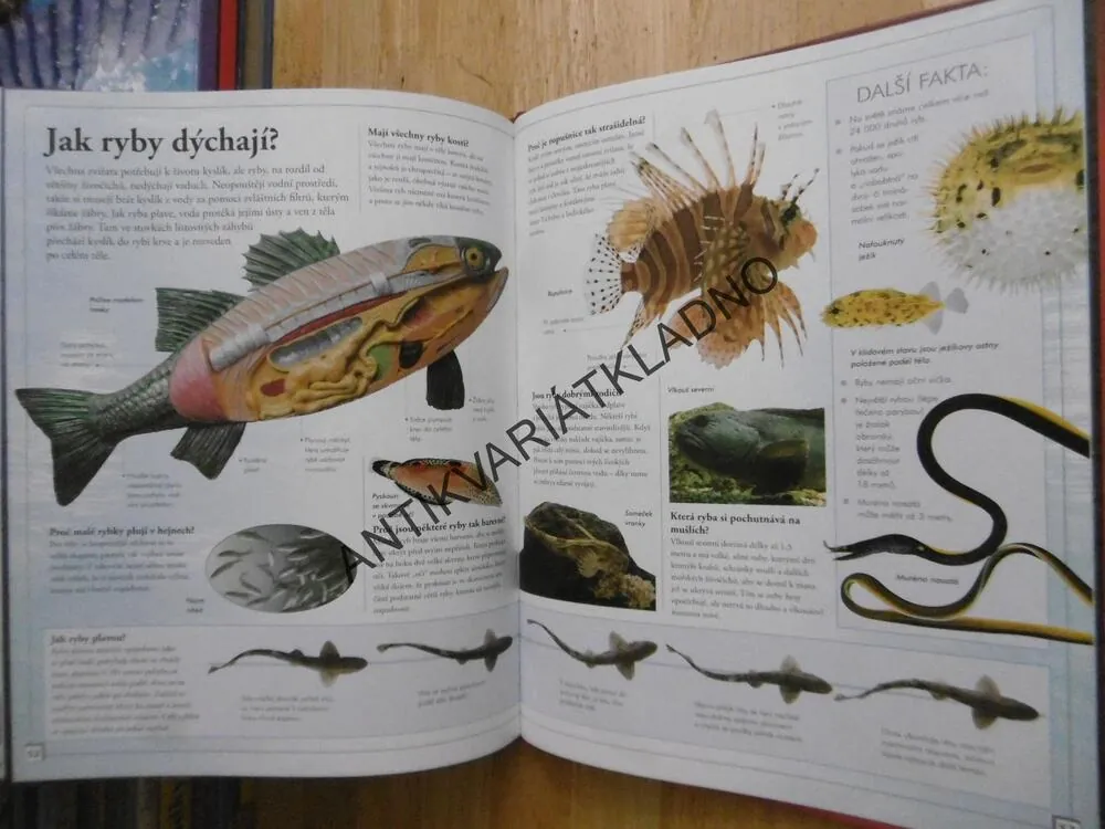 OHROMUJÍCÍ FAKTA O ZVÍŘATECH, **an