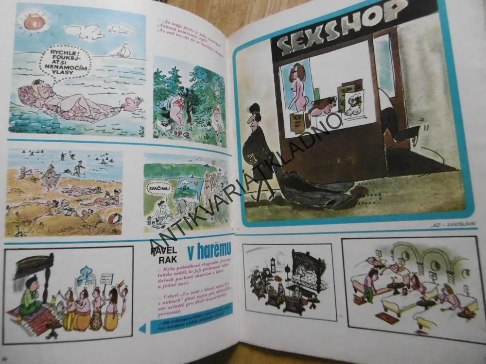MAGAZÍN DIKOBRAZU