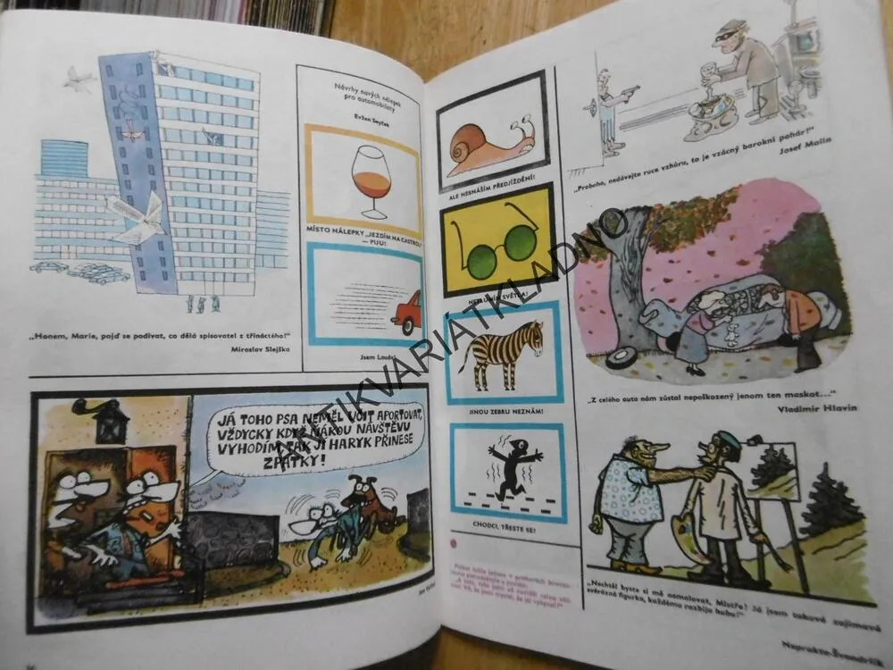 MAGAZÍN DIKOBRAZU