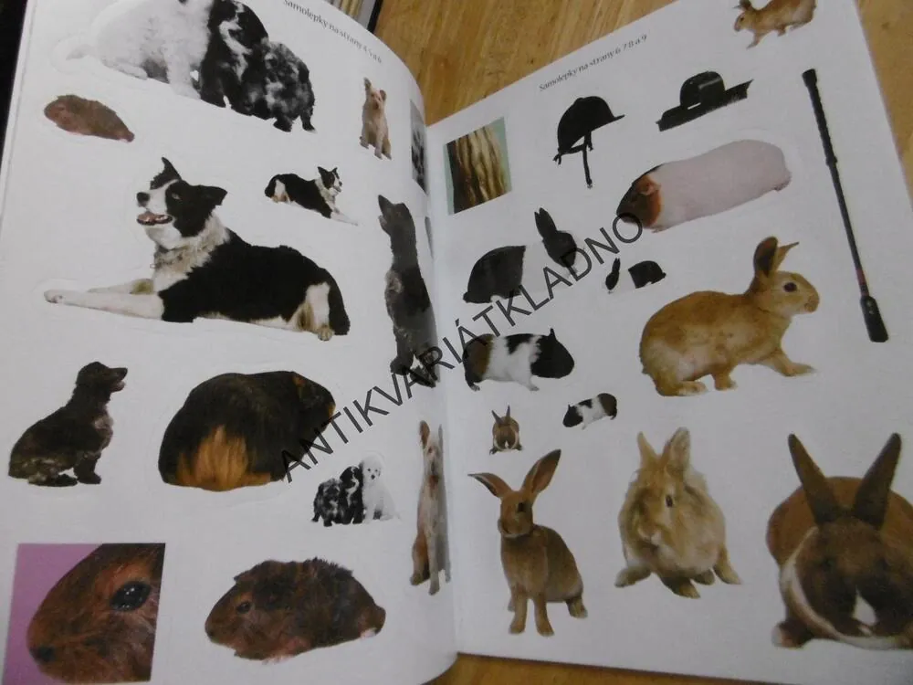NEJMILEJŠÍ ZVÍŘÁTKA, AKTIVITY SE SAMOLEPKAMI, **an