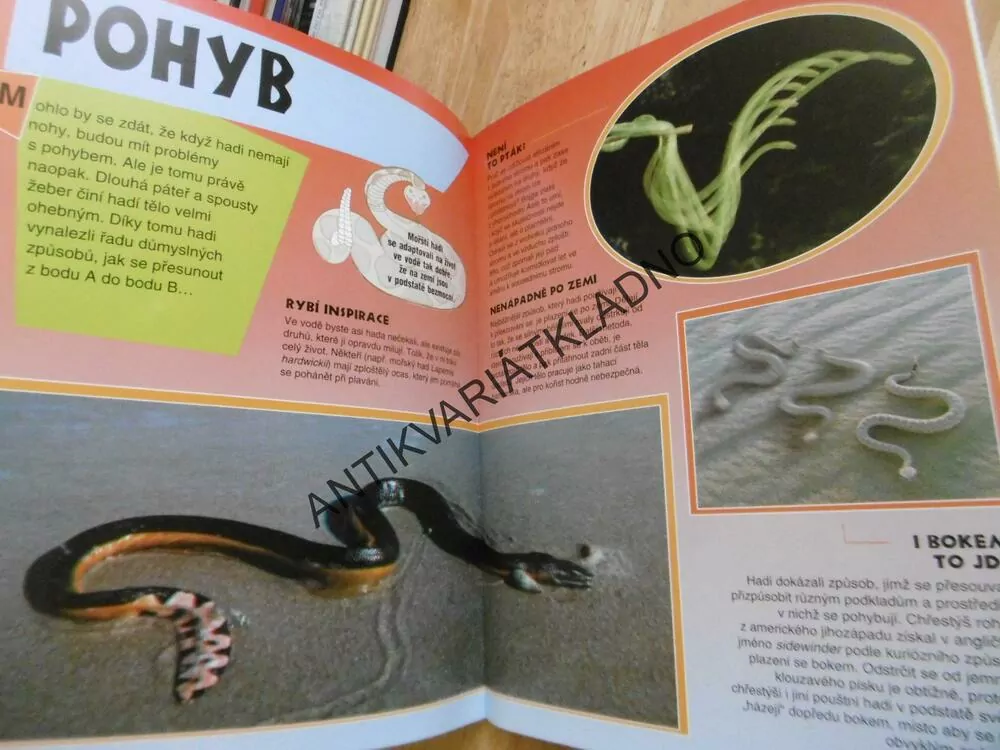 HADI, 3D DOBRODRUŽSTVÍ, **an