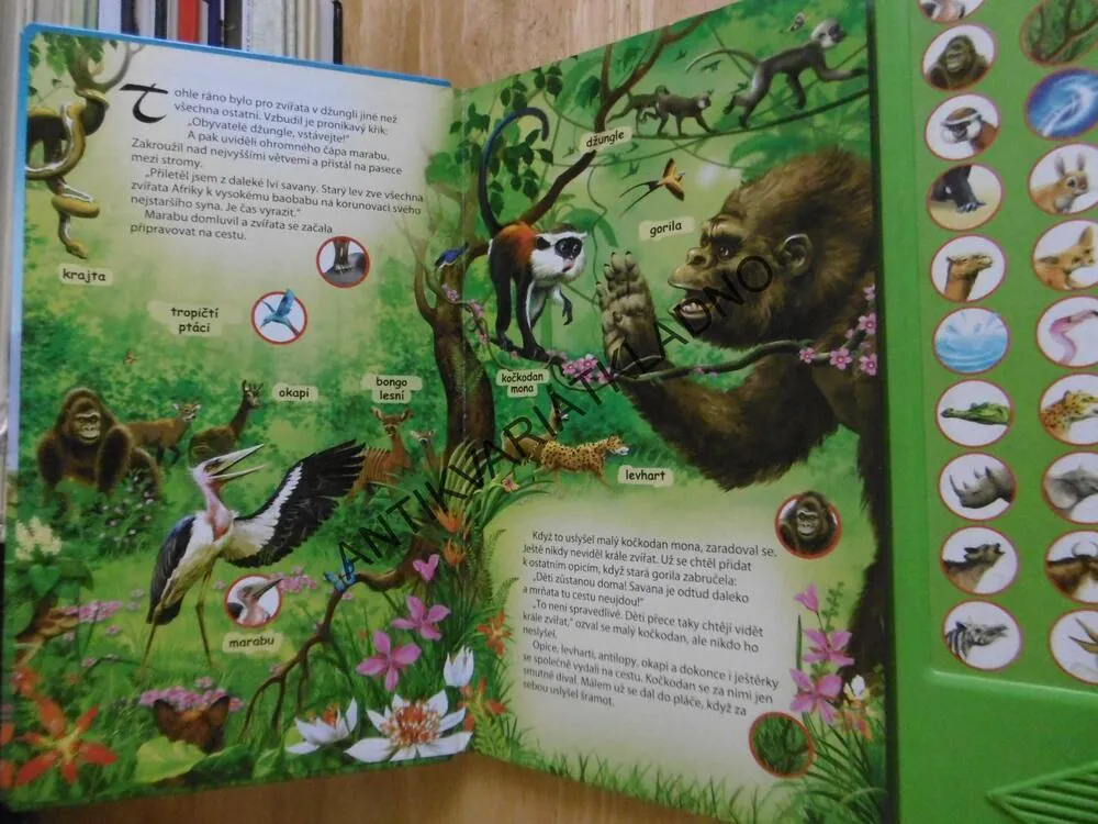 ZVÍŘATA ZE ZOO, **an