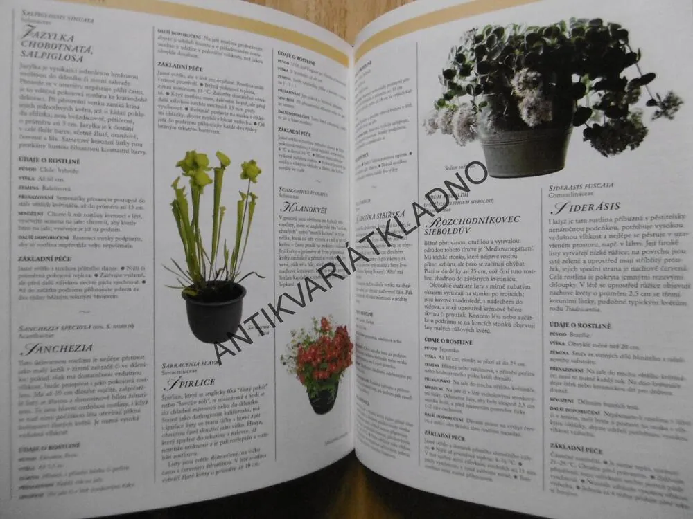 ROSTLINY V BYTĚ,POKOJOVÉ KVĚTINY,  READERS DIGEST VÝBĚR, **an