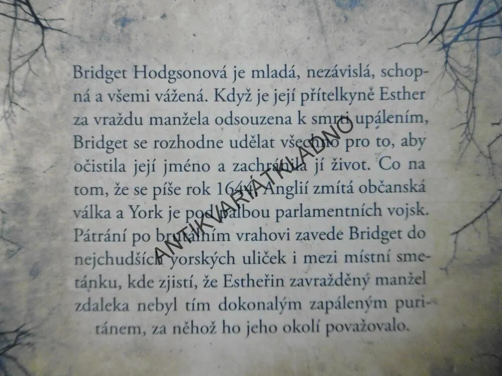 ZLOČIN V YORKU, SAM THOMAS, **an