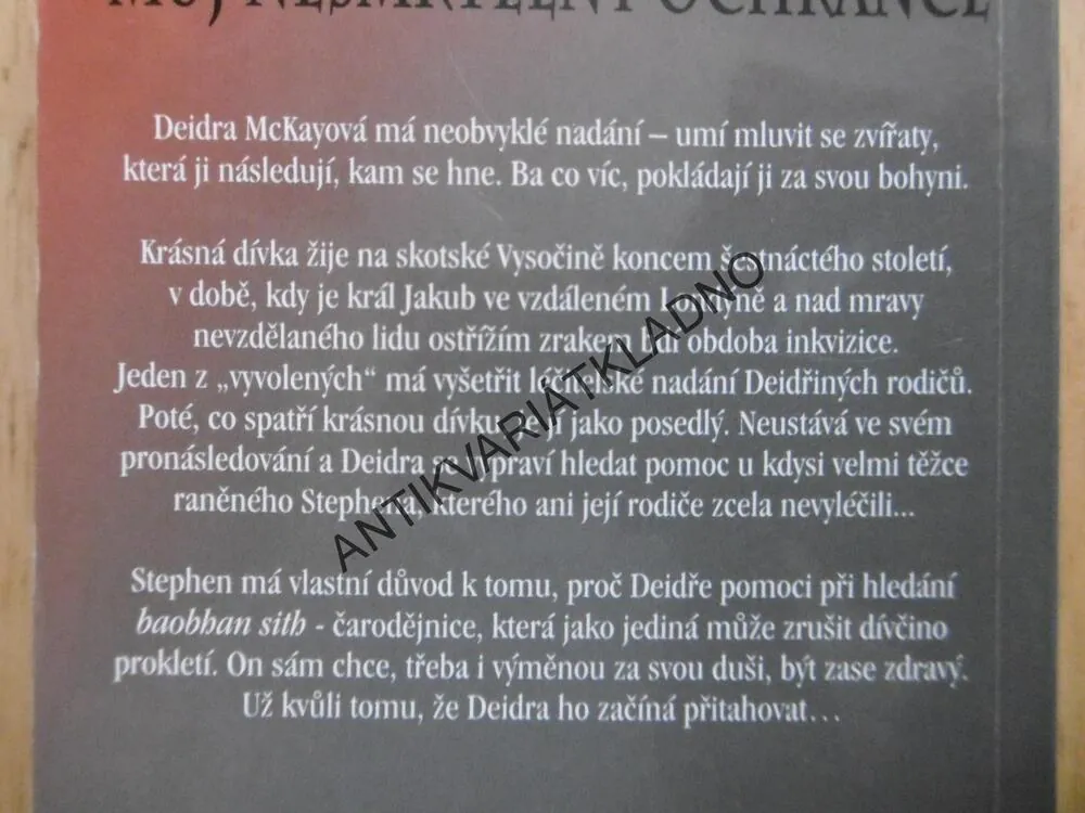 MŮJ NESMRTELNÝ OBRÁNCE, JEN HOLLINGOVÁ, **an