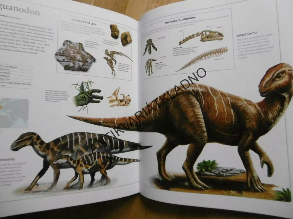 DINOSAUŘI, VELKÁ DĚTSKÁ ENCYKLOPEDIE, SURMAN, 142 DRUHŮ