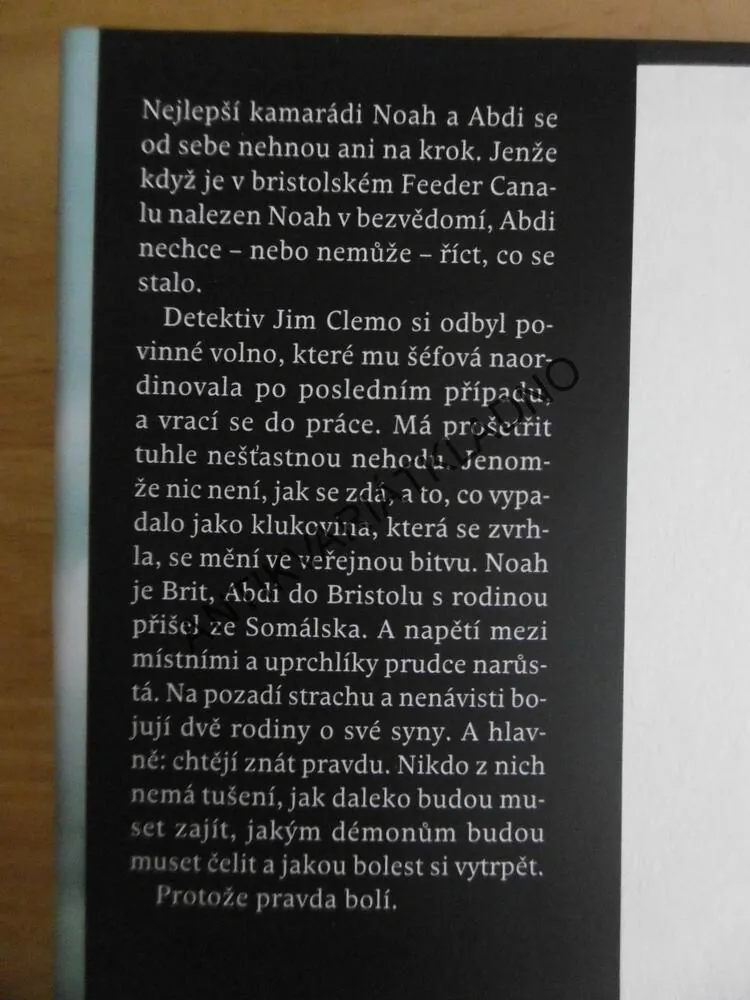 VYVRHEL, GILLY MACMILLANOVÁ, **an