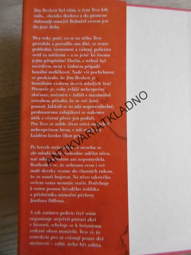 DOKONALÝ MANŽEL, LISA GARDNEROVÁ, **an