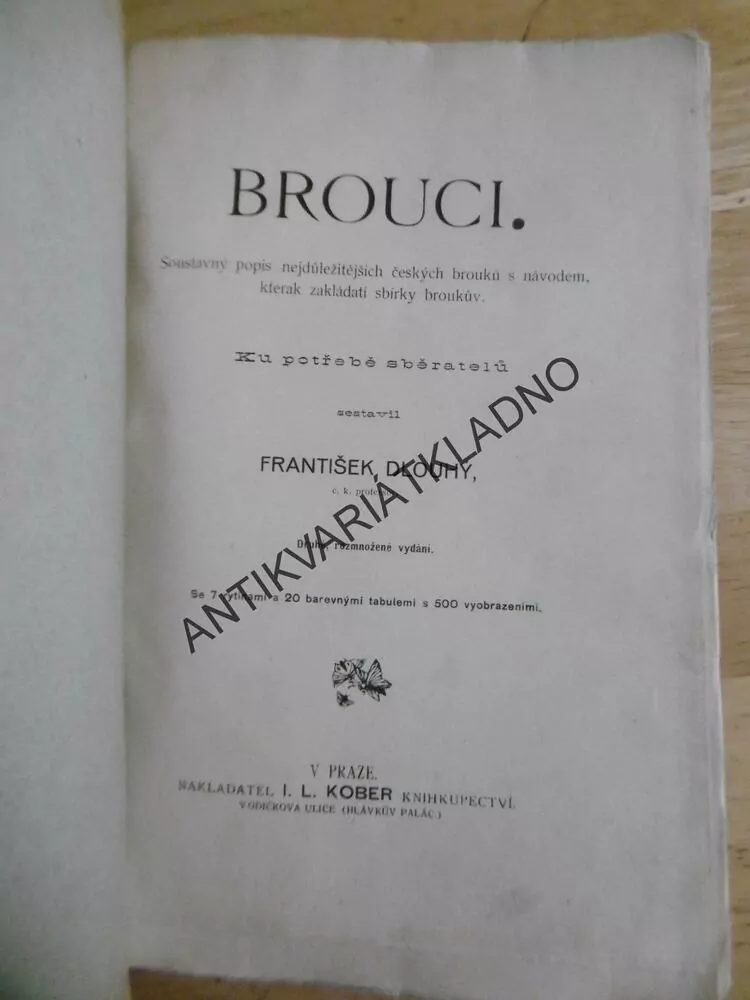 BROUCI, FRANTIŠEK DLOUHÝ, 