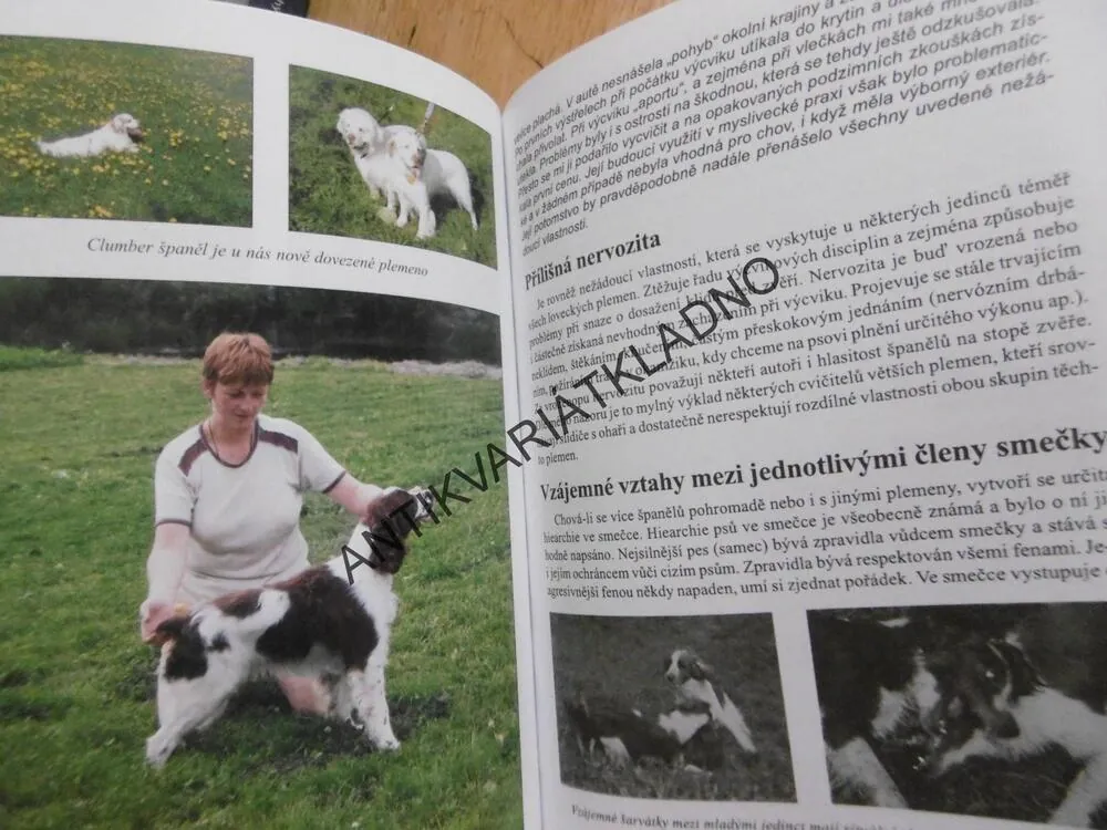 LOVEČTÍ ŠPANĚLÉ, JAN JIRÁČEK, **an