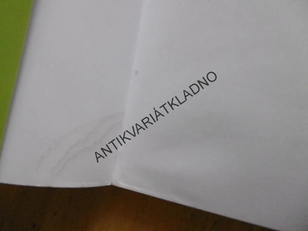PIANISTKA, E.JELINEKOVÁ, **an