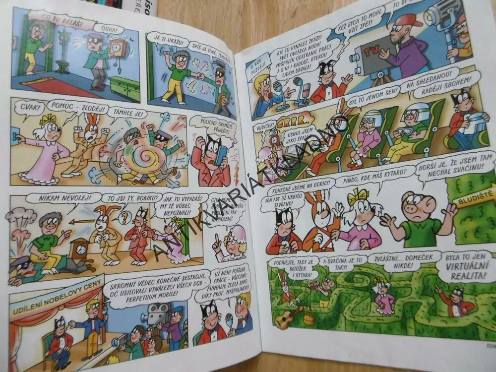 ČTYŘLÍSTEK 651 - DOMEČEK SPLNĚNÝCH PŘÁNÍ