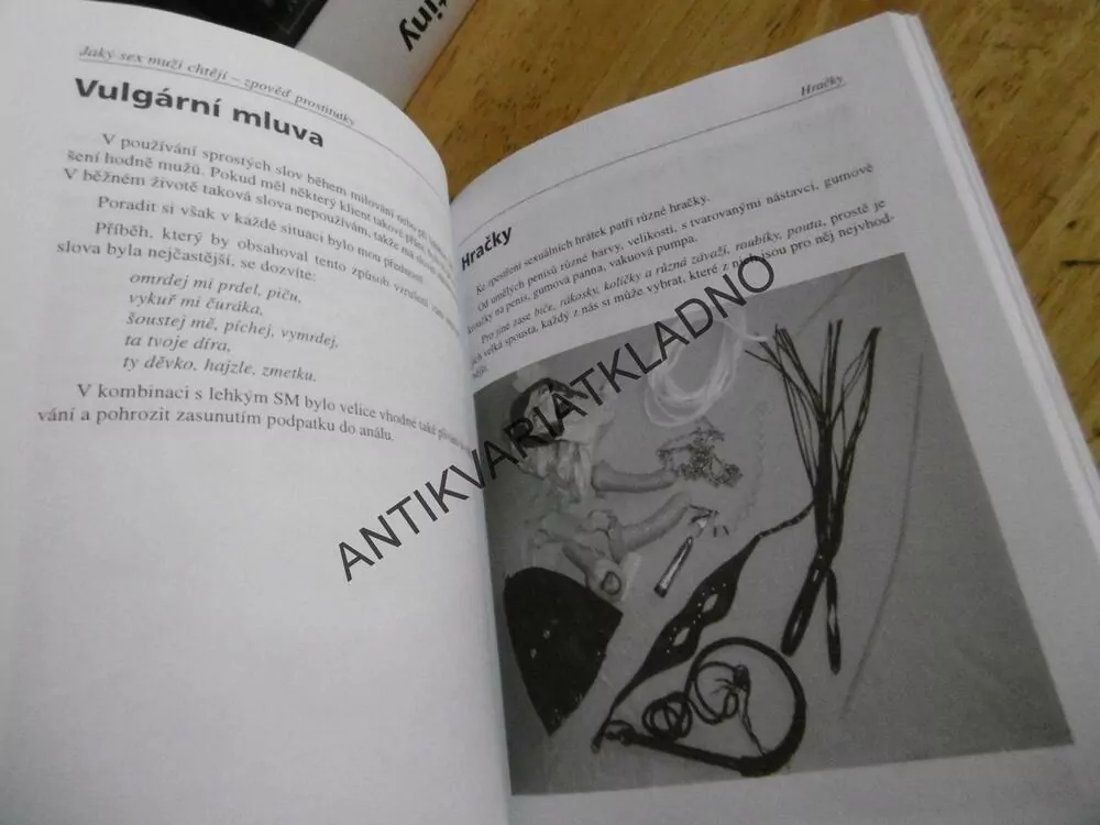 JAKÝ SEX MUŽI CHTĚJÍ, ZPOVĚĎ PROSTITUTKY, **an